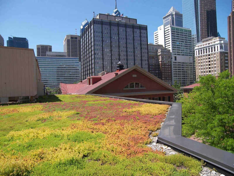 paysagiste-AMIRAT-min_green-roof-portfolio-4